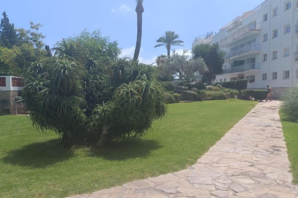 Apartamento 1ª Linea De Playa 알리칸테 외부 사진